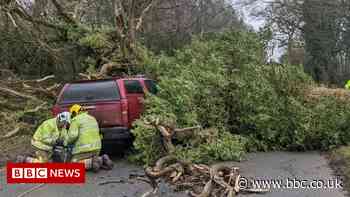 Storm Eunice leads to West Midlands train disruption