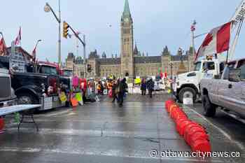 Two-thirds of Canadians support military force to end Ottawa protests: poll - CityNews Ottawa