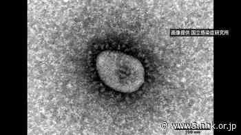 Japan reports 71,488 new cases of coronavirus - NHK WORLD