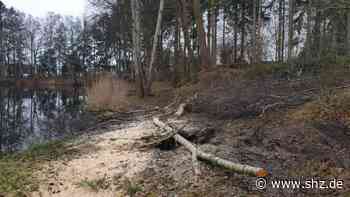 Orkantief Zeynep: Kösterkuhle in Tornesch: Angelverein sperrt See nach Sturmschäden | shz.de - shz.de