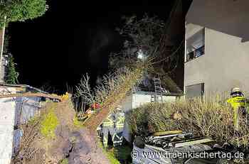 Sturm Zeynap fällt Bäume in Stadt und Landkreis Bamberg - Fränkischer Tag