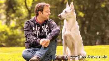 Auftritt bei Martin Rütter: Fränkischer Hund wird Fernsehstar - mit trauriger Geschichte - Nordbayern.de