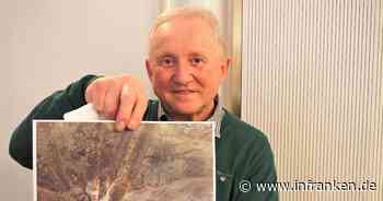 Bamberg hat einen 'Biber-Beauftragten' - das macht der Nager-Experte - inFranken.de