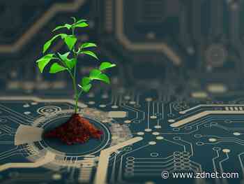 Want to attract new tech talent? Start thinking green