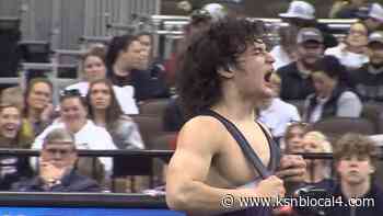 Schademann wins Class C 132-pound title for Fillmore Central - KSNB Local 4