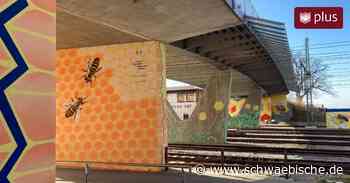 Warum in ganz Lindau auf einmal Kunstwerke auftauchen - Schwäbische