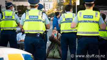 Occupation Day 14: Scuffles erupt as police lock off Lambton Quay from protesters - Stuff.co.nz