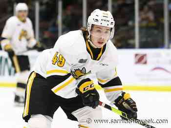 Streaking Sting knock off Spirit for third straight win - Sarnia and Lambton County This Week