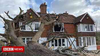 Storm Eunice: Huge 400-year-old oak tree falls on to house
