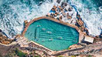 'COVID wiped out 20 years of growth', when can travel go back to normal?