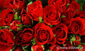 Chieri. Rose per San Valentino al Liceo Monti - CentoTorri