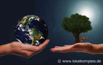 Einnahmen aus der CO2-Bepreisung an die Haushalte zurückgegeben! - Lokalkompass.de