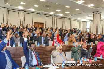 Insecurity, delayed polls dash Somalia's debt relief hopes - The East African