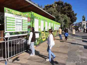 Voici les astuces pour assister gratuitement au Carnaval de Nice (sans tricher) - actu.fr