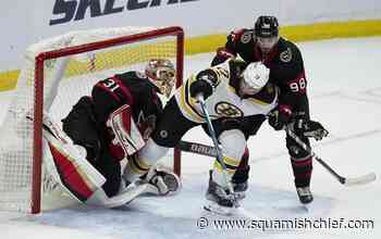 David Pastnak scores overtime winner as Bruins top Senators - Squamish Chief