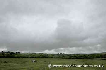 Dangerous dog on the loose in Cornwall - theoldhamtimes.co.uk