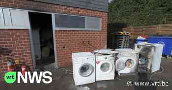 Brand in dierenasiel in Wommelgem, alle dieren geëvacueerd - VRT NWS