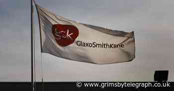 Glaxo halts vaccine trial in pregnant women - Grimsby Live