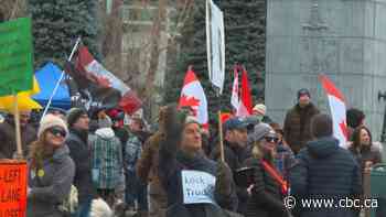 Frustration rises in Calgary's Beltline as weekly protests continue - CBC.ca