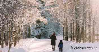 Snowfall warning issued for Calgary this weekend - Globalnews.ca