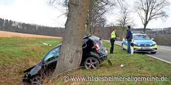 Orkan-Bilanz im Kreis Hildesheim: Mehrere Bäume stürzen knapp vor fahrende Autos - www.hildesheimer-allgemeine.de