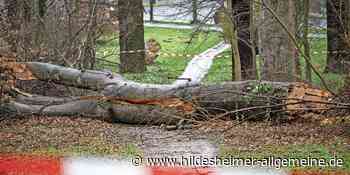 Nach Zeynep kommt Antonia: Nächster Sturm zieht auf Region Hildesheim zu - www.hildesheimer-allgemeine.de