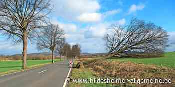 Bildergalerie: Sturm Zeynep in der Region Hildesheim - www.hildesheimer-allgemeine.de