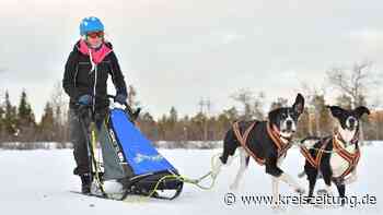 Stephanie Heuer und Ivo Neubert „brennen“ für den Zughundesport - kreiszeitung.de