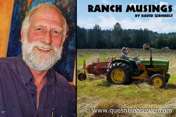 RANCH MUSINGS: Time to rebrand the word cowboy? – Quesnel Cariboo Observer - Quesnel - Cariboo Observer