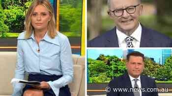 Ally’s awkward question stumps Albo - NEWS.com.au