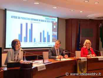 Ottimismo per le aziende della provincia di Cuneo - IdeaWebTv