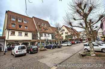 Handel Reichenbach - Trotz Lockerungen bleiben die Kunden aus - esslinger-zeitung.de