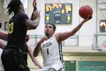 Greensburg's Asa Klimchock flourishes in new position for Bethany basketball - TribLIVE