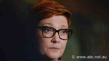 Farm worker visa is being delayed by the Foreign Minister, Nationals deputy leader says