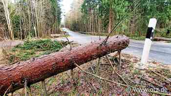 Wenige Einsätze für Jenas Feuerwehr wegen Sturmtiefs