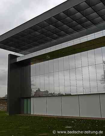 Nabu drängt auf Vogelschutz am Art'Rhena - Breisach - Badische Zeitung - Badische Zeitung