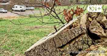 Bau von Seniorenwohnungen in Strande: Bebauungsplan öffentlich ausgelegt - Kieler Nachrichten