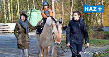 Der Bau-Hof in Wunstorf: Schatzkiste Familie startet - Hannoversche Allgemeine