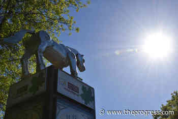 Fraser Valley forecast: Next week mostly sunny, but cold – Chilliwack Progress - Chilliwack Progress