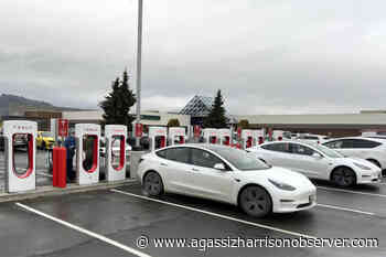 Tesla Superchargers at Chilliwack's Cottonwood Centre open for business – Agassiz Harrison Observer - Agassiz Harrison Observer