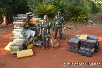 Caraguatay: secuestran casi dos mil kilos de marihuana, dinero y armas - Misiones OnLine
