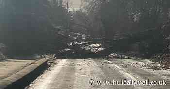 Met Office warns of 24-hour winds which could cause 'danger to life' - Hull Live