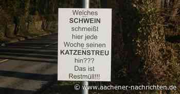 Wilder Müll: Wenn Abfall illegal abgeladen wird