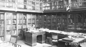 How Libraries Shape Our Literature