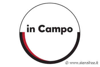 In Campo: ''A Siena una delega autorevole per la Cultura'' - SienaFree.it