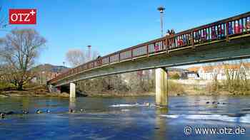 Brückeninspektion in Jena: Eine Esche und eine Weide weichen