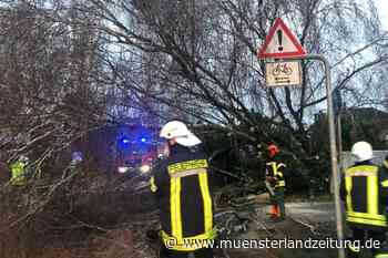 Liveblog: Leitstelle stockt Personal auf, Feuerwehren überall im Einsatz, auch auf der A31 - Münsterland Zeitung