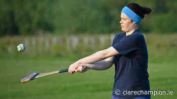 Vaughan looks to finish what Clare combo started decade ago - Clare Champion