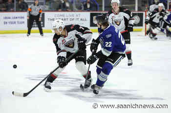 Victoria Royals defeat Vancouver Giants in Friday night matchup – Saanich News - Saanich News
