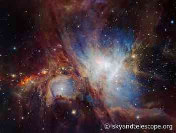 Protostar Companions in Orion